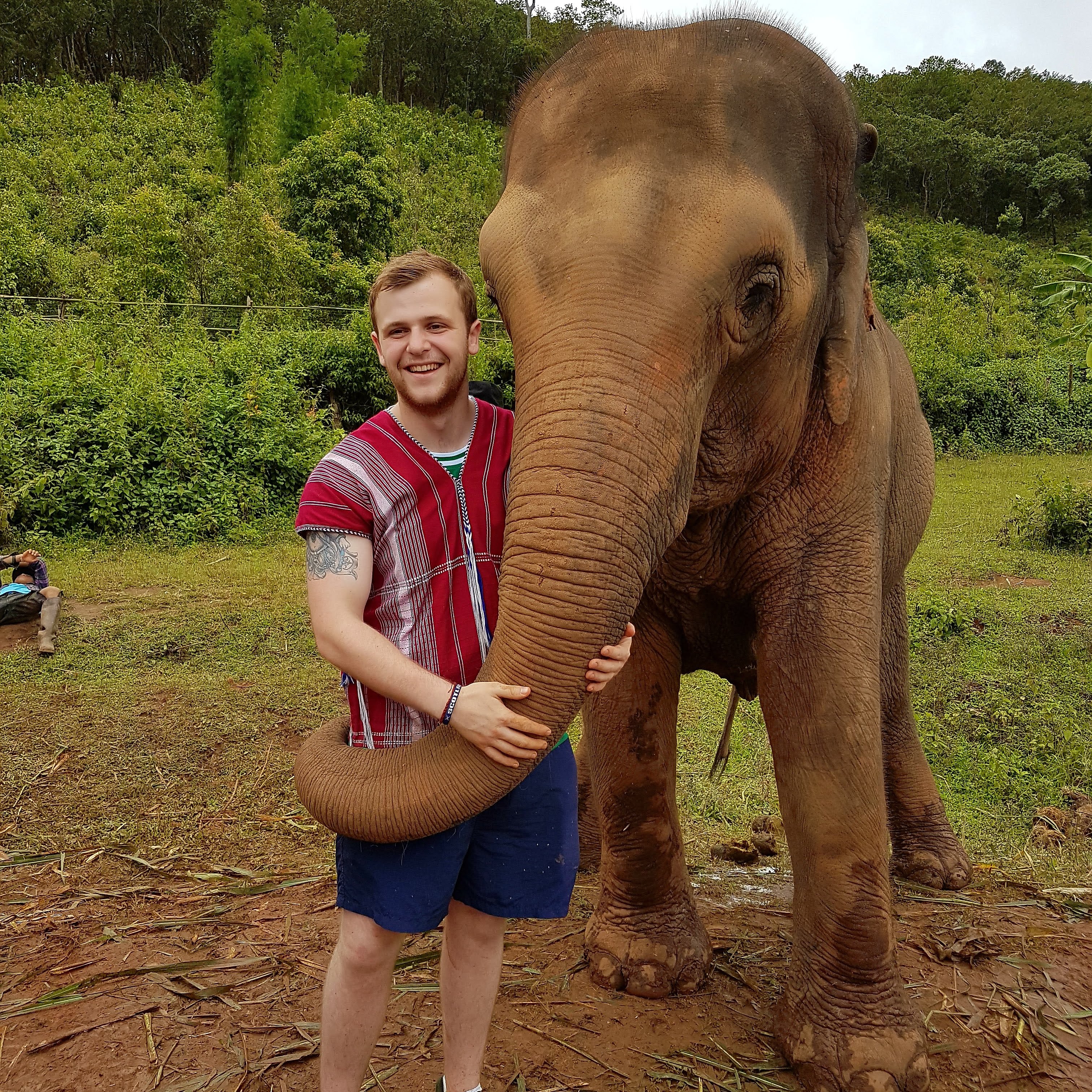 Elephent Sacntuary in Chiang Mai - Declan McLaren